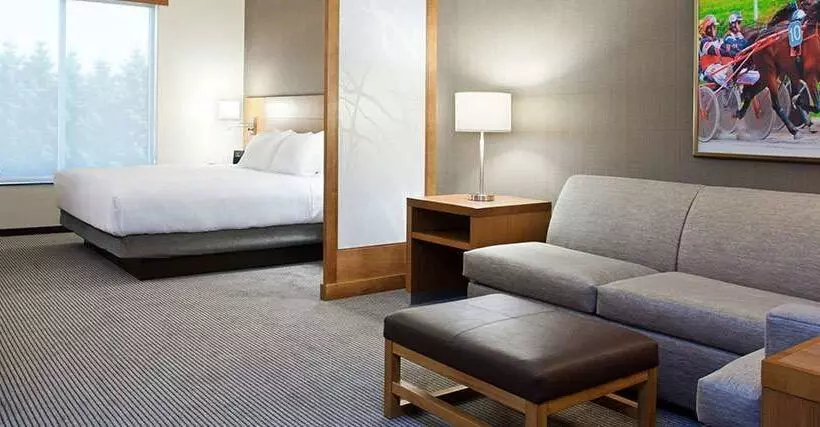 호텔 Hyatt Place At The Hollywood Casino Pittsburgh South