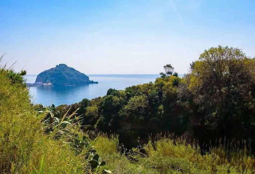 Отель Villa Fumerie