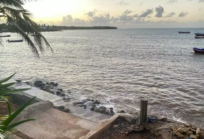 Aamiaismajoitus (B&B) Las Palmeras Oceanview Hotel And Dive Center