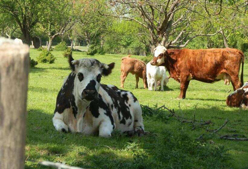 Aamiaismajoitus (B&B) Cottage Des Bords De Seine
