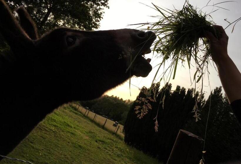 Bed and Breakfast Les Chevreuils