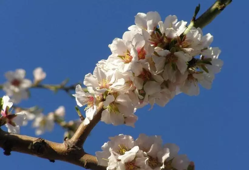 Aamiaismajoitus (B&B) Mandoué