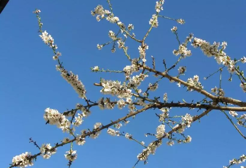 Aamiaismajoitus (B&B) Mandoué