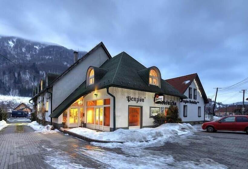 ペンション Wellness Penzión Rosnička