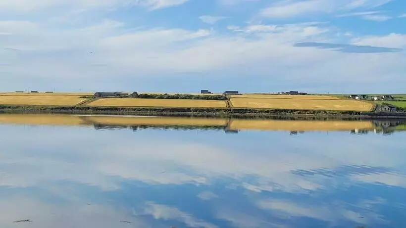 Vitaver, B&b, Stl Or00012f