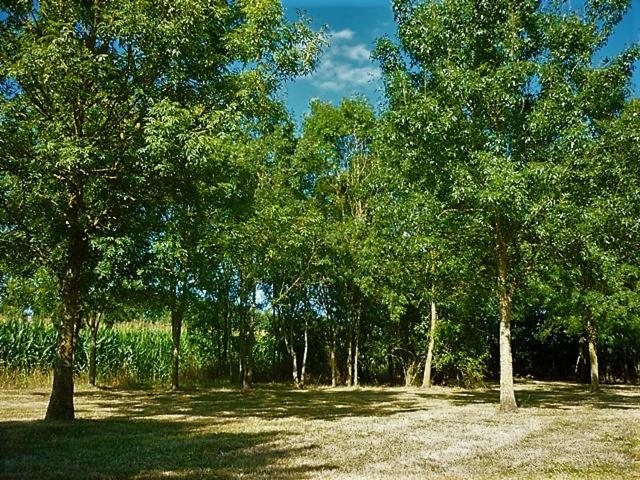 住宿加早餐 La Veillonnais