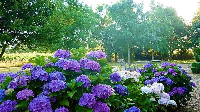 住宿加早餐 La Veillonnais