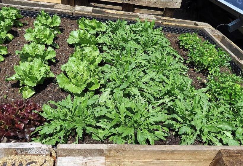 Отель Lesacherhof