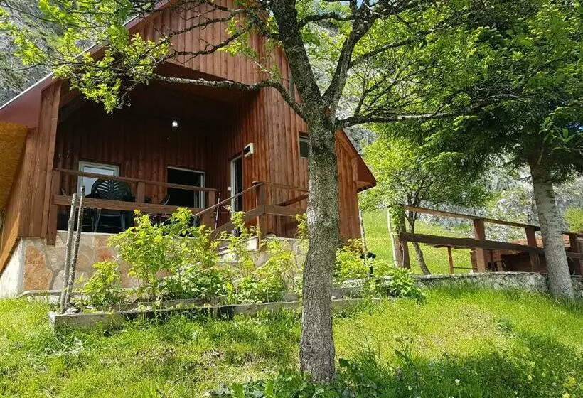 پانسیون Detached House Milivoje