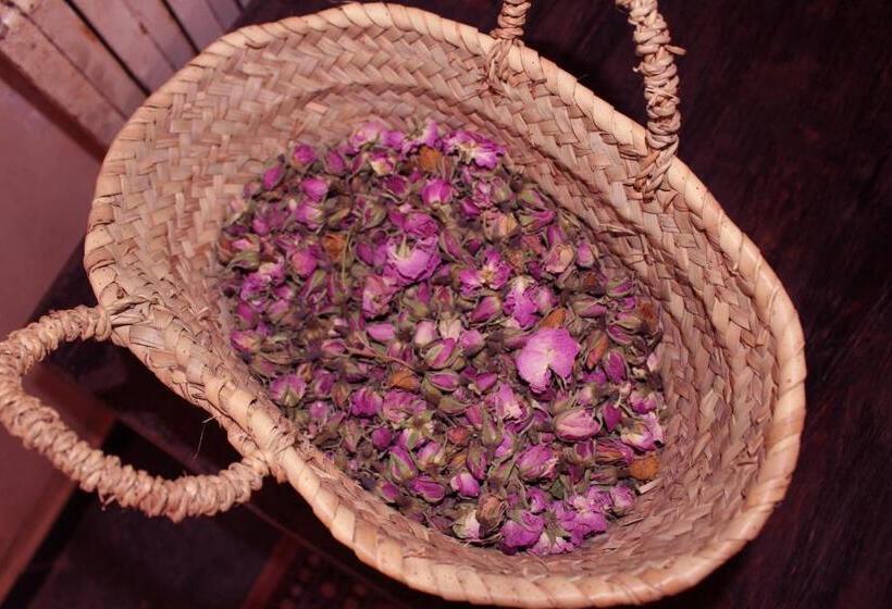 膳宿费 Riad Gabsi Dades