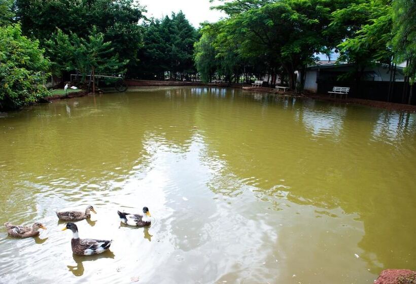 酒店 Casa Amarela Executive