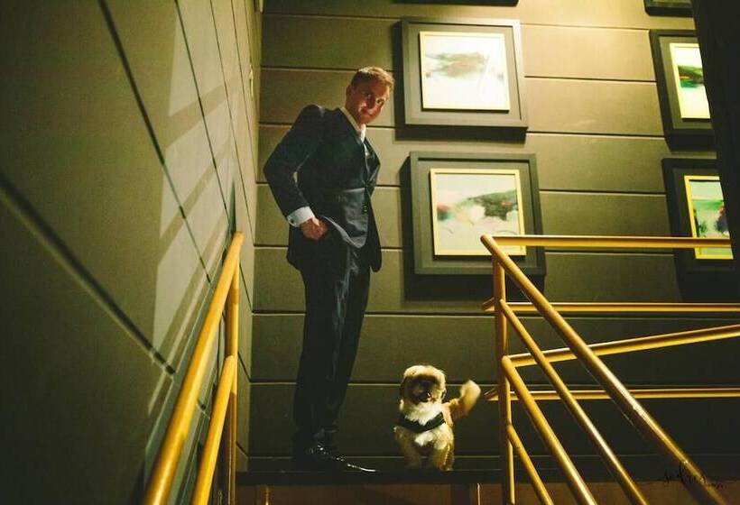 酒店 Casa Amarela Executive