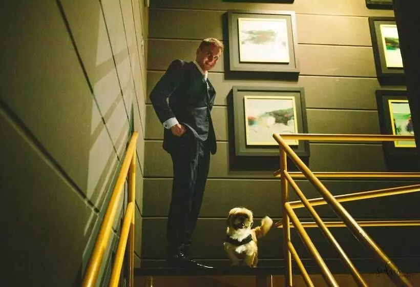 ホテル Casa Amarela Executive