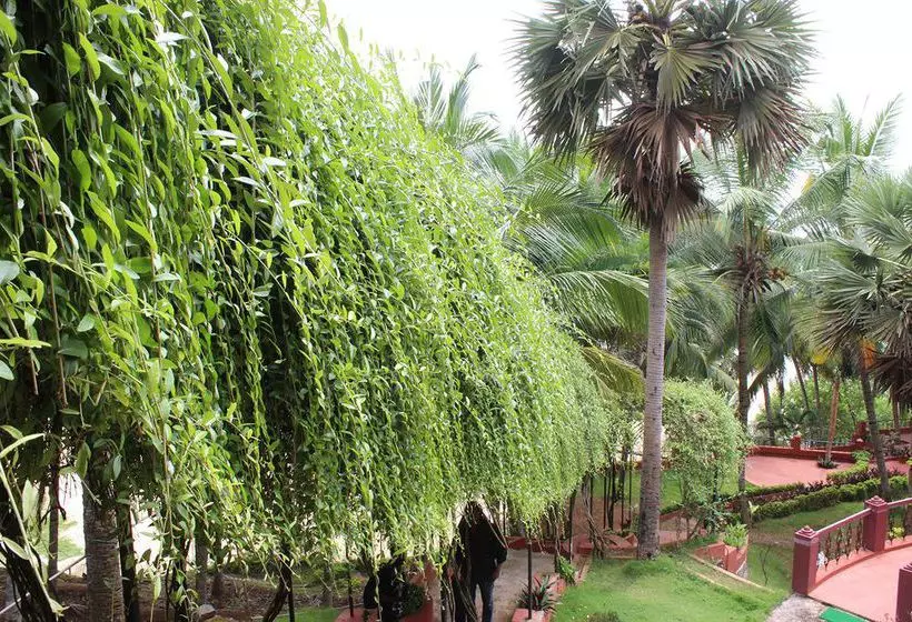 Hotel Halcyon Valley