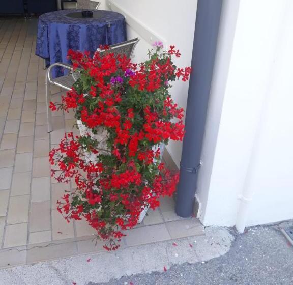 בית מלון כפרי Serenella