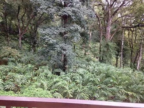 호텔 Spice Jungle Resort