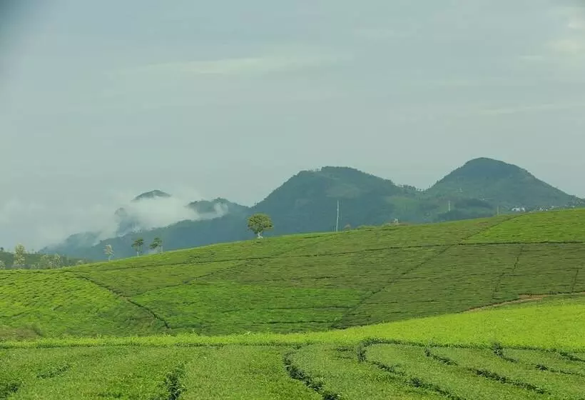 酒店 Sunvalley Homestay