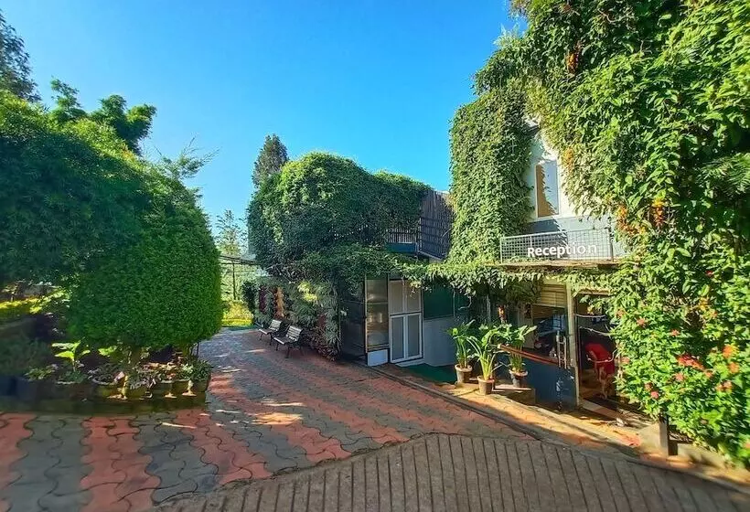 酒店 Sunvalley Homestay