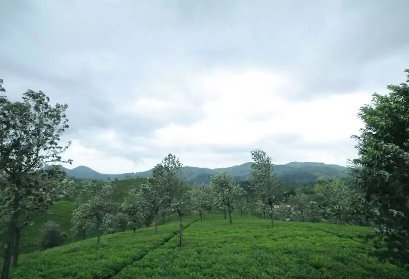 酒店 Sunvalley Homestay