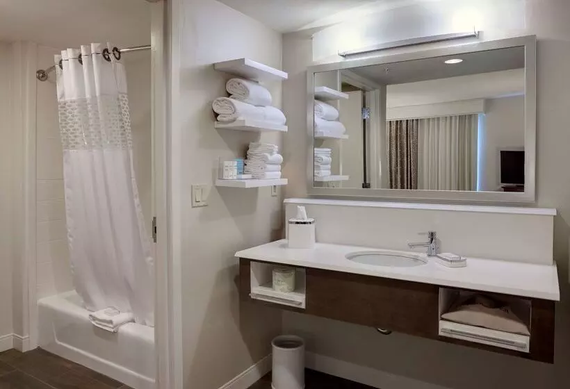 汽车旅馆  Hampton Inn & Suites Blythe