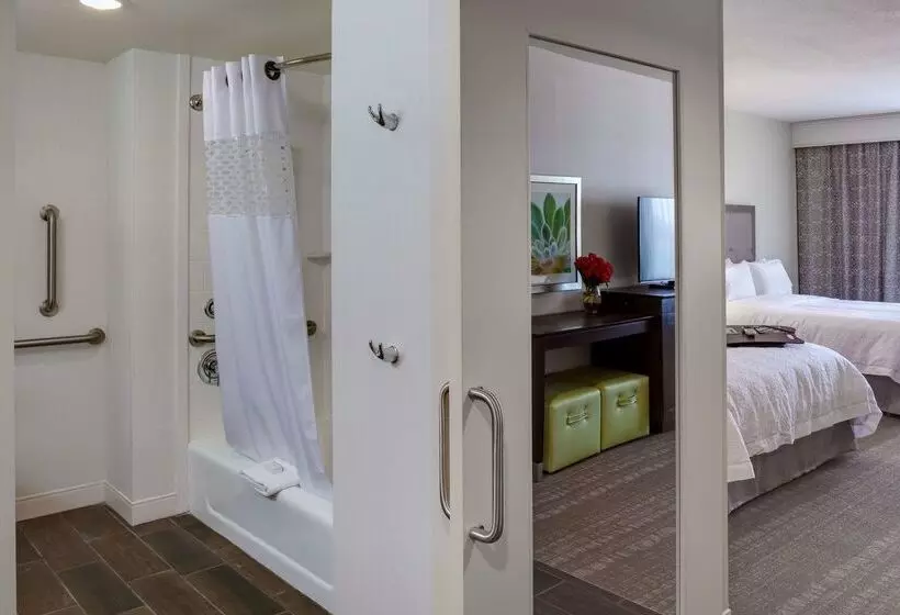 汽车旅馆  Hampton Inn & Suites Blythe