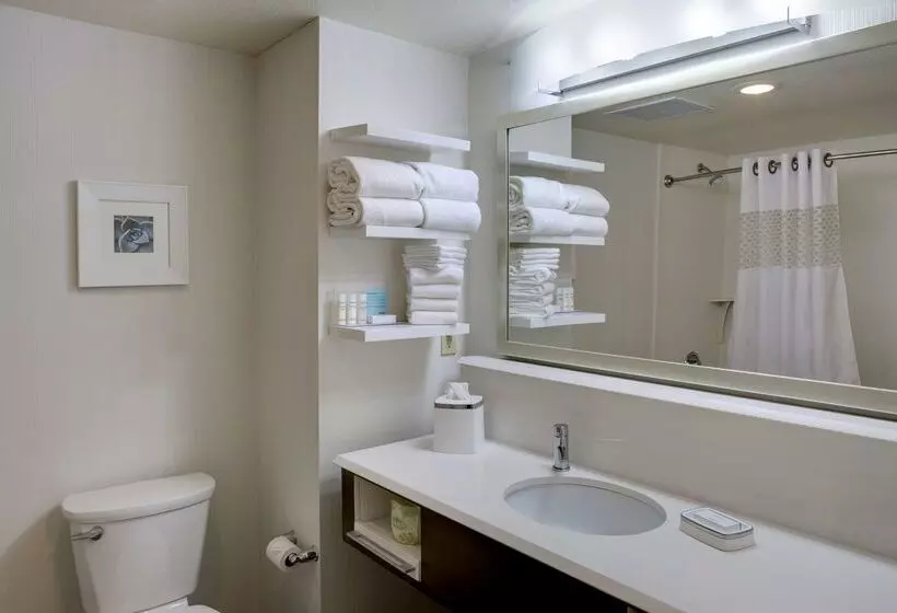 汽车旅馆  Hampton Inn & Suites Blythe