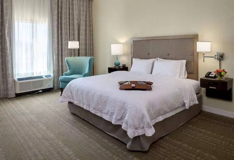 汽车旅馆  Hampton Inn & Suites Blythe