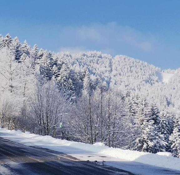 旅馆 Haldenhof Neuenweg