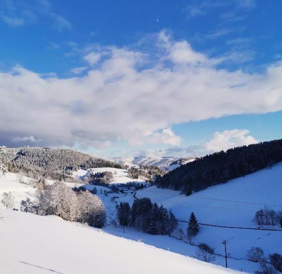 旅馆 Haldenhof Neuenweg