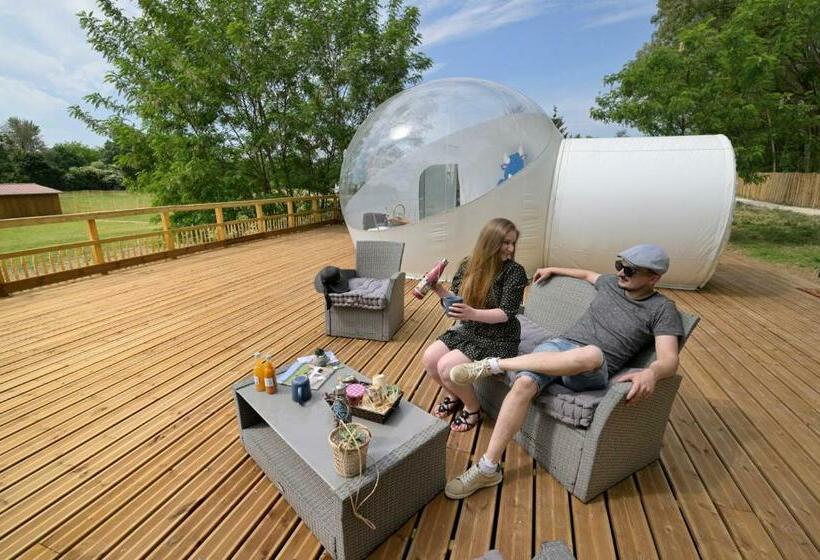 Bed and Breakfast Bulle Spa Romantique