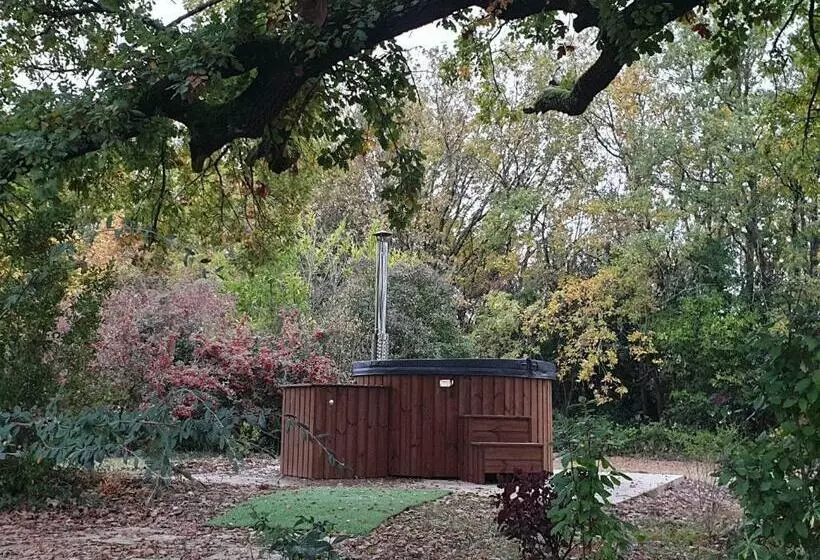 ベッドアンドブレックファースト Chambre D Hôtes à La Ferme Du Moulin