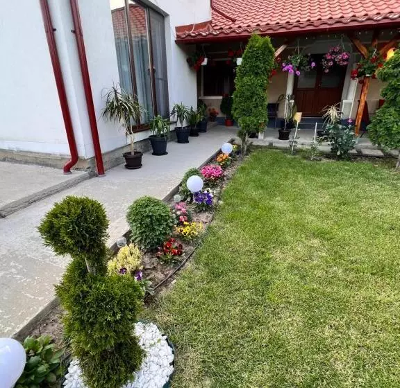 ホテル Agropensiunea Vila Cristina