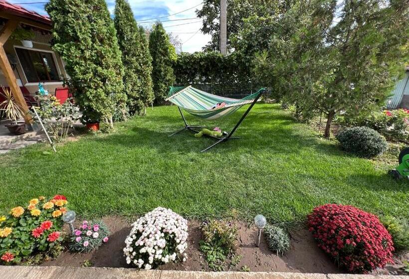 ホテル Agropensiunea Vila Cristina