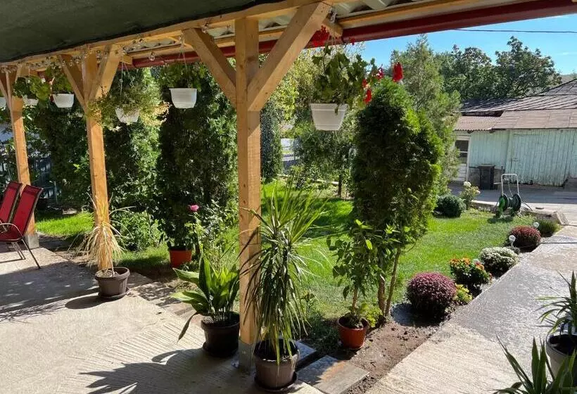 ホテル Agropensiunea Vila Cristina