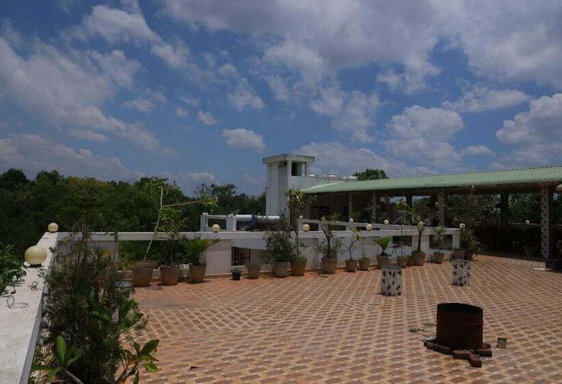 Hotel Paradise Auro Oceanic