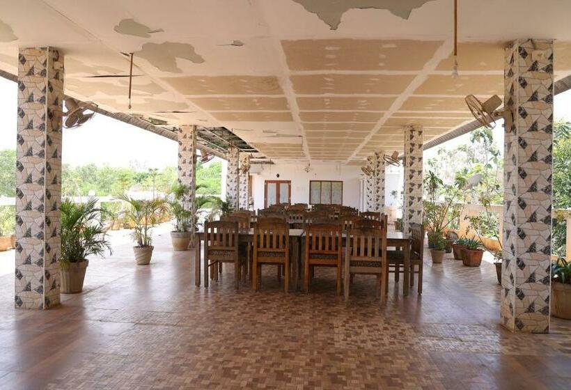 Hotel Paradise Auro Oceanic