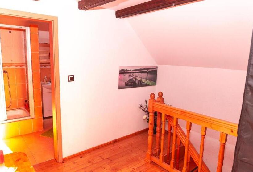 膳宿费 Casa Ursului