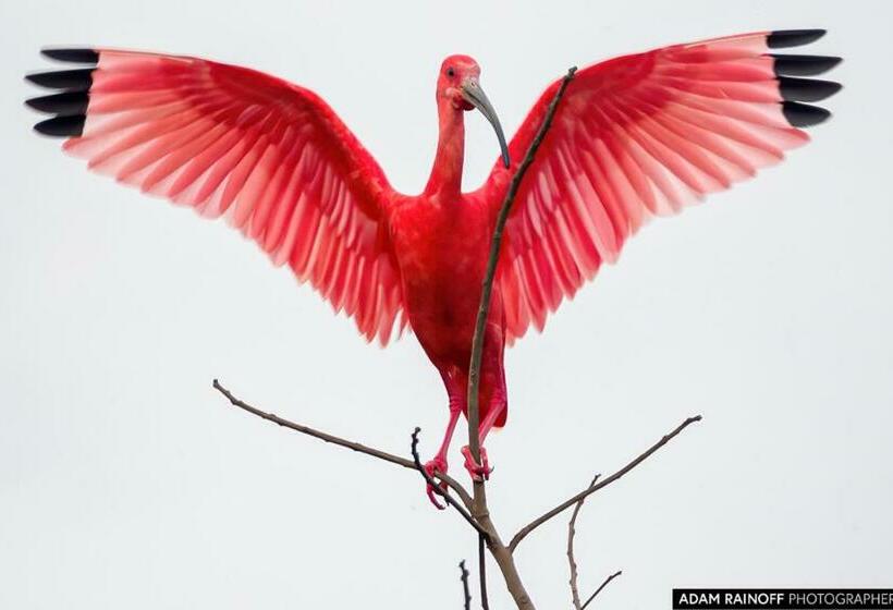 ホテル Hato Barley