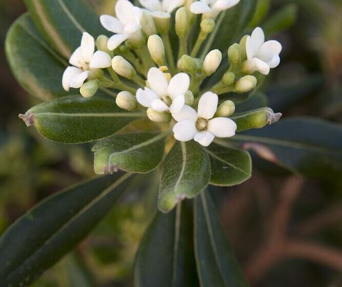 Anna Katerina Apartments