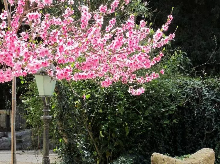 تختخواب و صبحانه Candalù Hotels Villa Giardinata