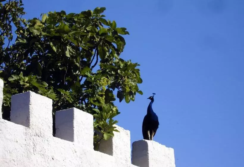 تختخواب و صبحانه Candalù Hotels Villa Giardinata