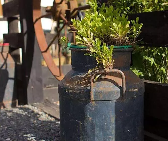 Cambridge Coach House