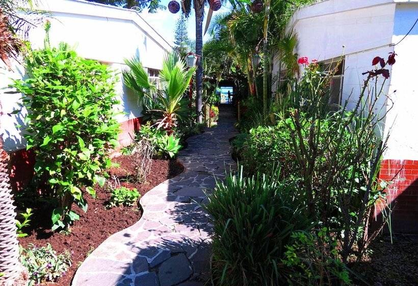 فندق Ajijic Plaza Suites