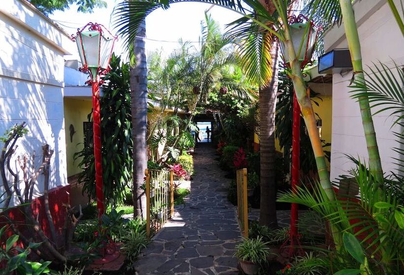 فندق Ajijic Plaza Suites