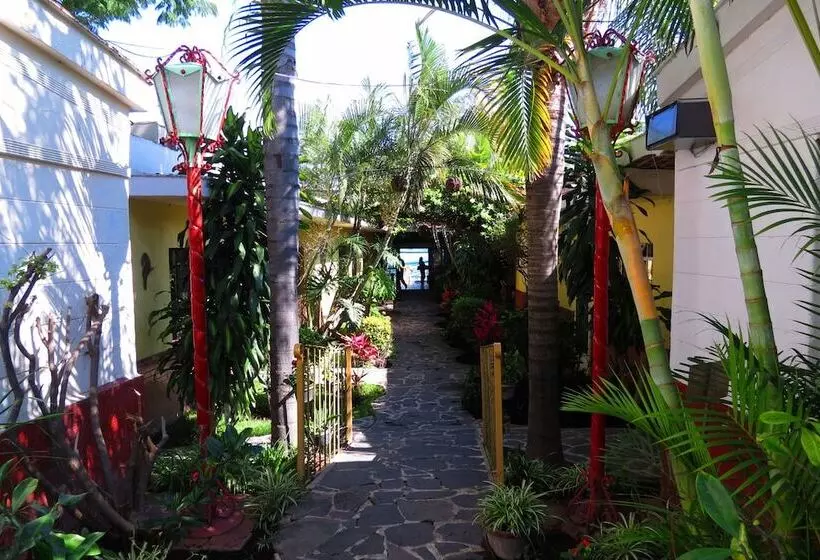 فندق Ajijic Plaza Suites