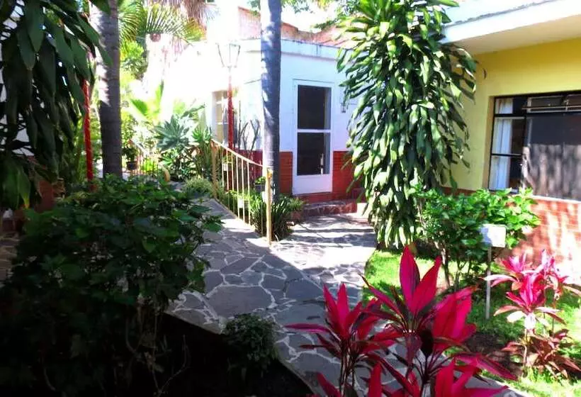 فندق Ajijic Plaza Suites