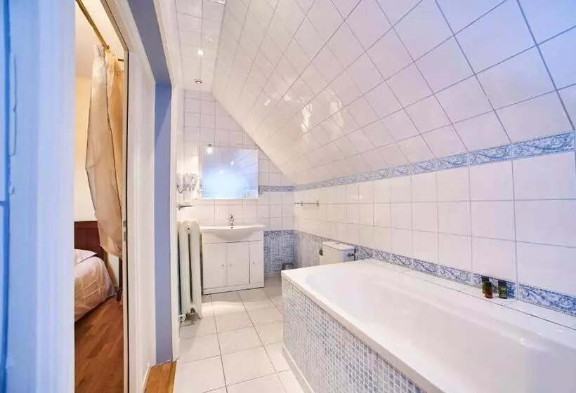 בית מלון כפרי Chateau De La Richerie