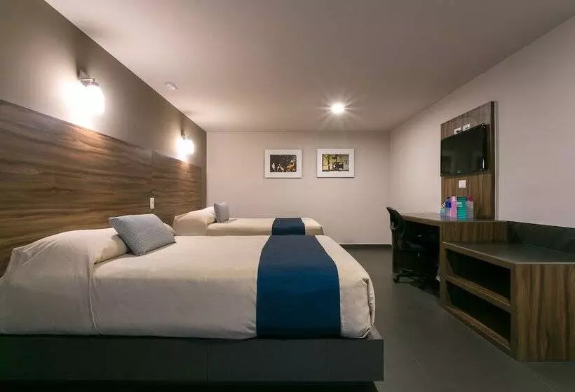 فندق Panamerican