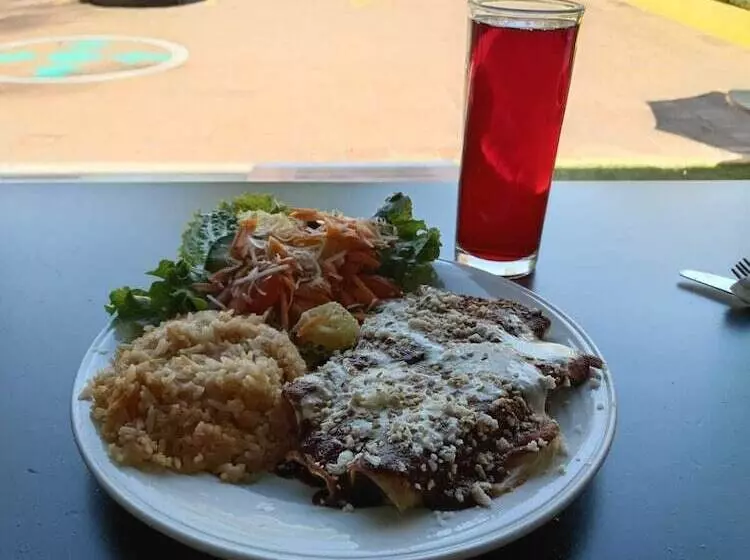 فندق Punta Galeria