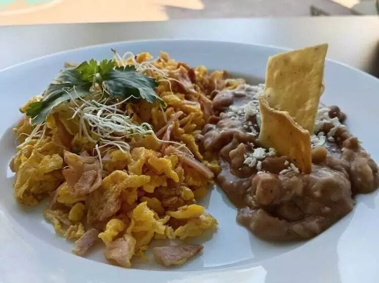 فندق Punta Galeria